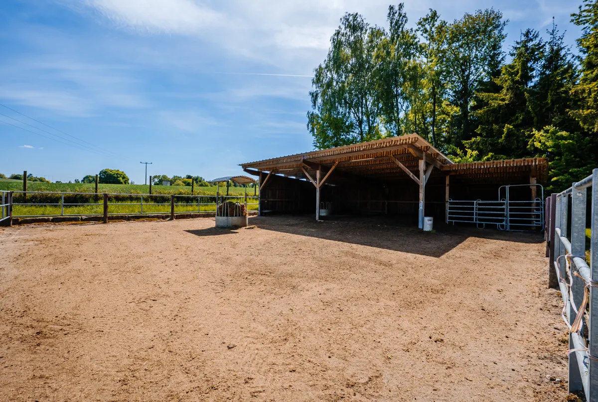 THE RANCH - Ein Reiterhof der Extraklasse