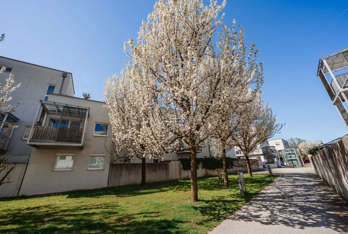Aigen: Top geschnittene Wohnung mit Balkon