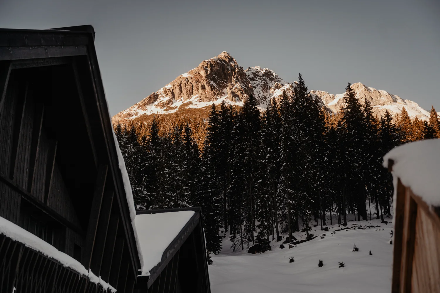 Das Hochkönigmassiv im Alpenglühen über verschneitem Bergwald