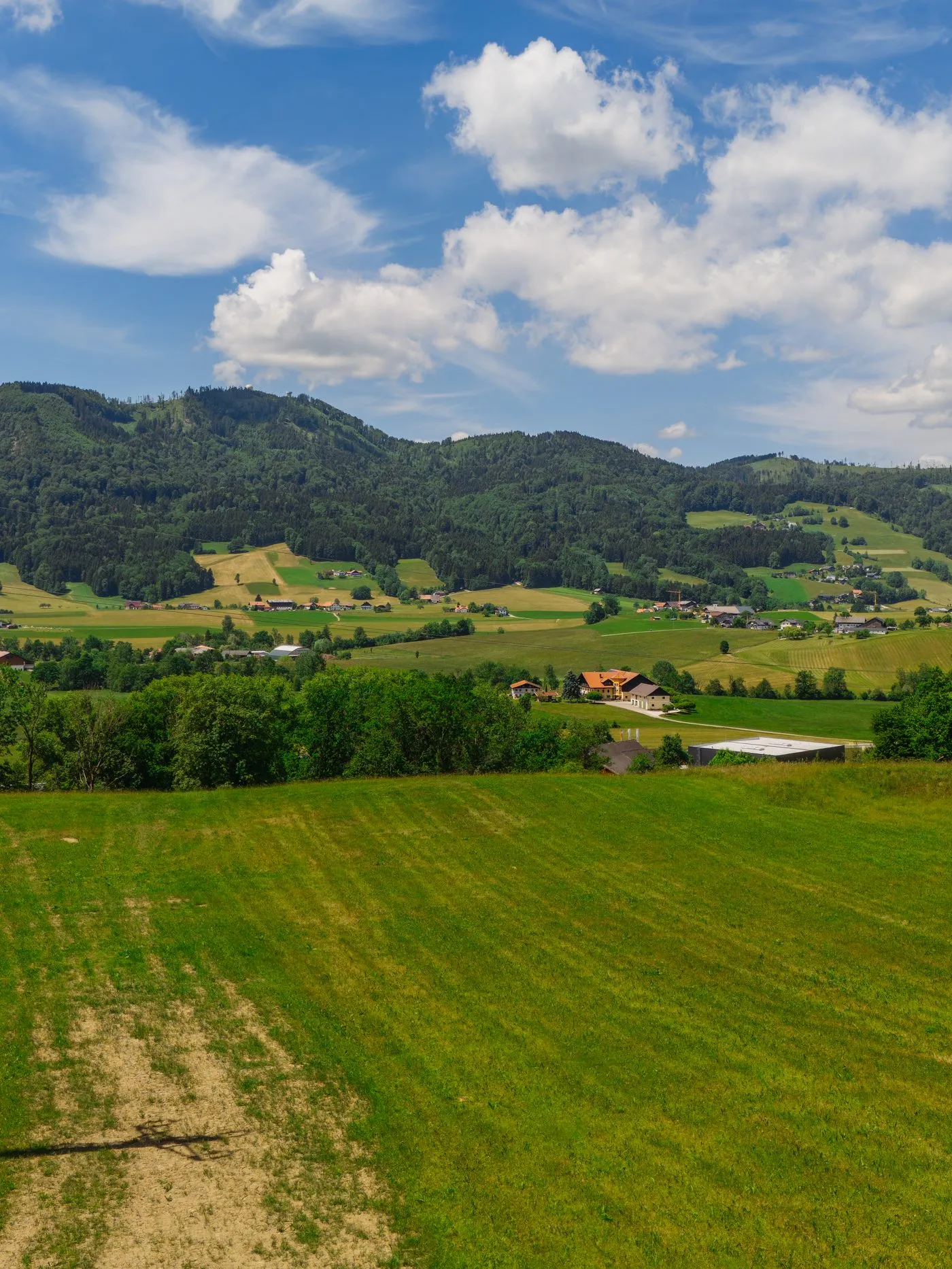 Wiesen und Hügellandschaft am Mondseeberg