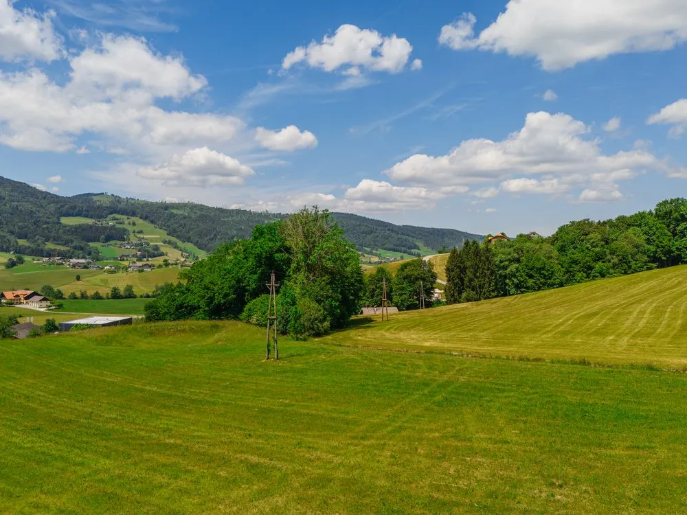 Landschaft rund um Mondsee und Irrsee