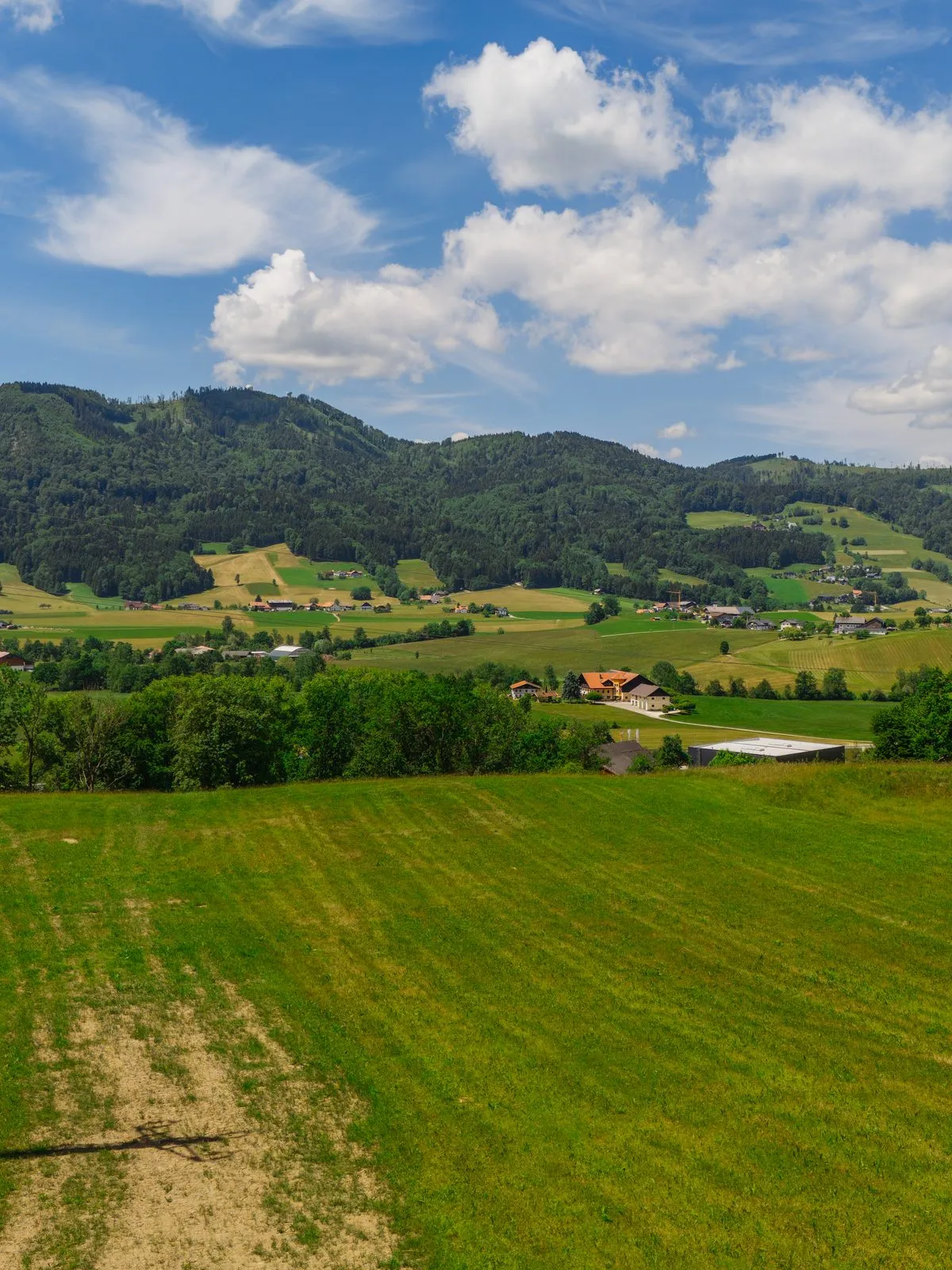 Sanfte Hügellandschaft und Wiesen am Mondseeberg
