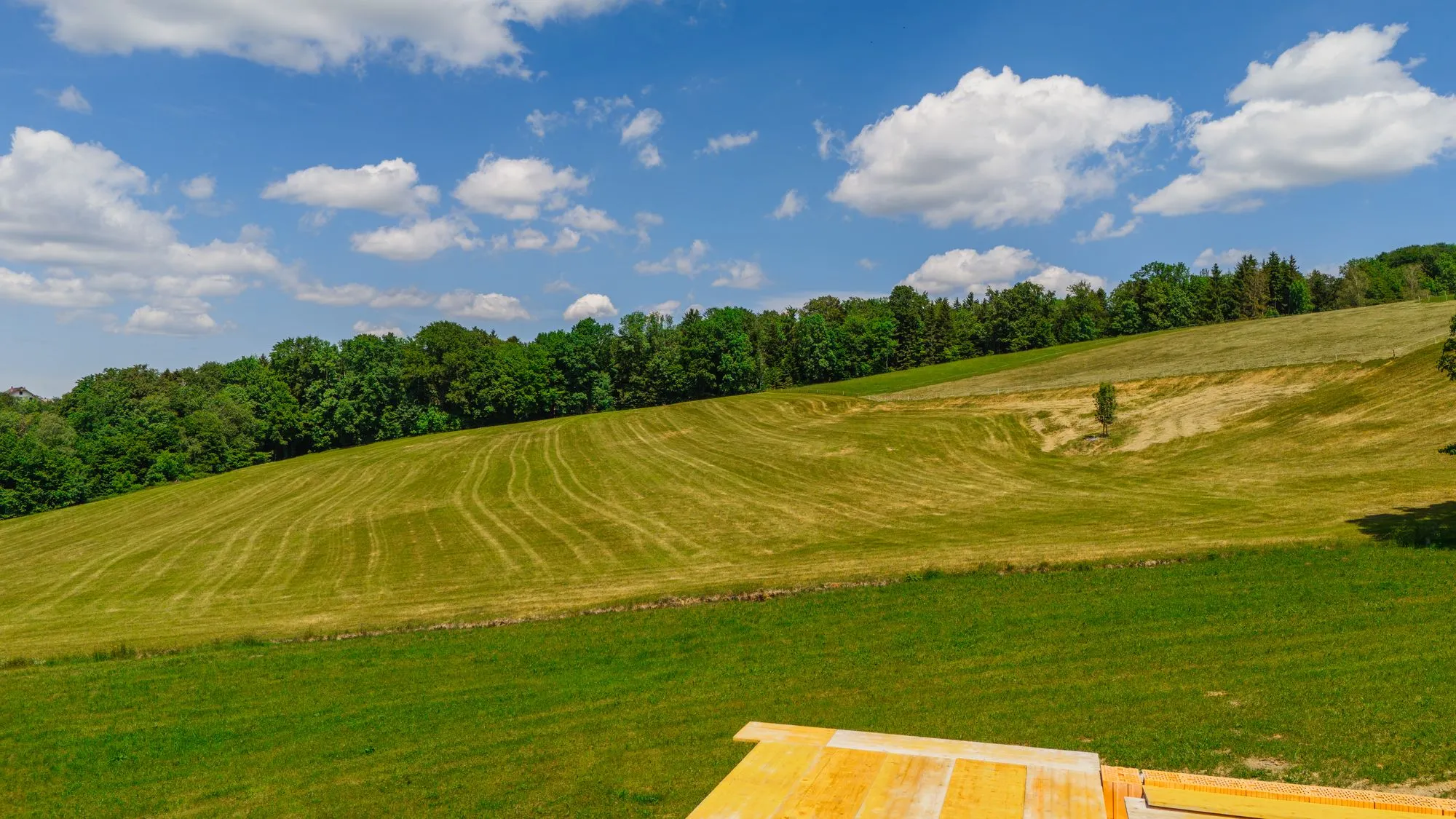 Grüne Landschaft am Mondseeberg im Salzkammergut